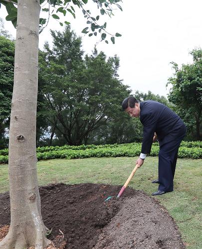 2012年12月7日至11日，習(xí)近平在廣東省考察工作。這是8日上午，習(xí)近平在深圳蓮花山公園種下一棵高山榕樹(shù)。新華社記者 蘭紅光 攝