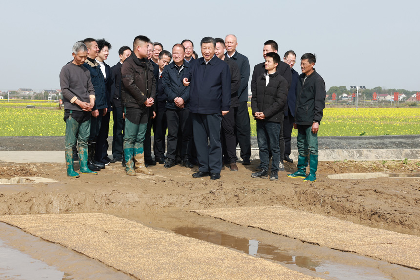 2024年3月18日至21日，中共中央總書記、國家主席、中央軍委主席習近平在湖南考察。這是19日下午，習近平在常德市鼎城區(qū)謝家鋪鎮(zhèn)港中坪村走進田間，察看秧苗培育和春耕備耕進展。新華社記者 王曄 攝