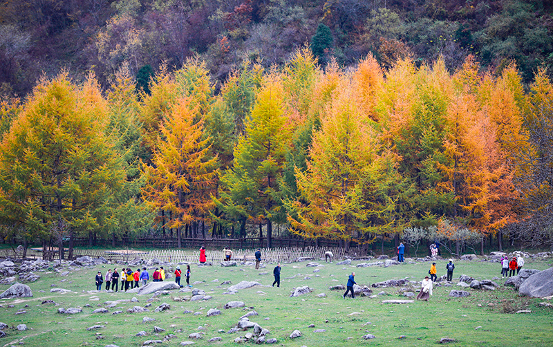 2023年10月27日，深秋時節(jié)的陜西秦嶺太子嶺漫山紅黃、色彩交織，進入最佳觀賞期。