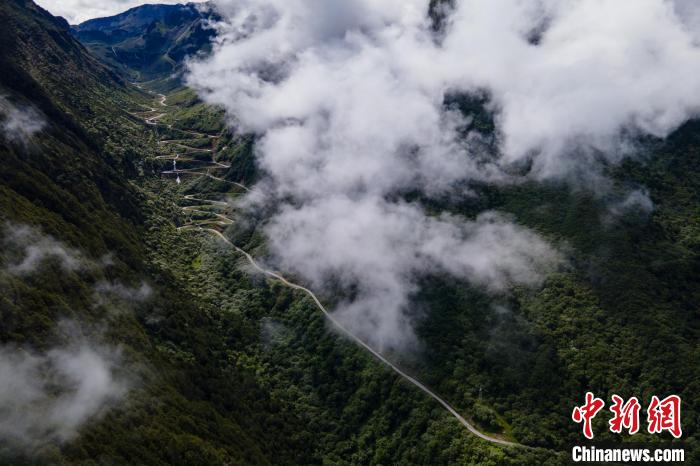 西藏山南勒布溝景區(qū)的盤山公路被云霧環(huán)繞。　江飛波 攝