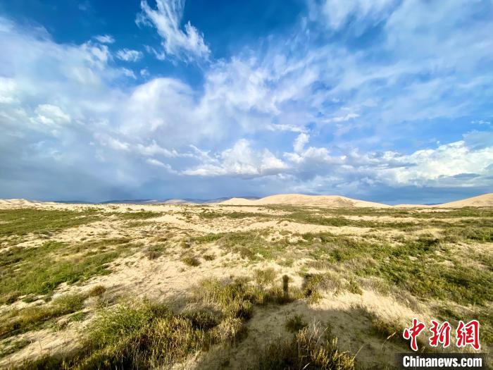 圖為關(guān)停四年后的沙島景區(qū)現(xiàn)狀?！±罱瓕?攝