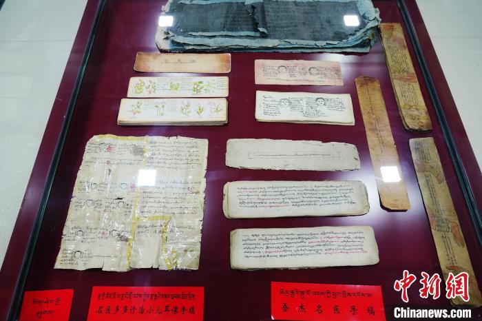 圖為藏醫(yī)古集文獻(xiàn)和藏醫(yī)臨床原始手稿?！●R銘言 攝