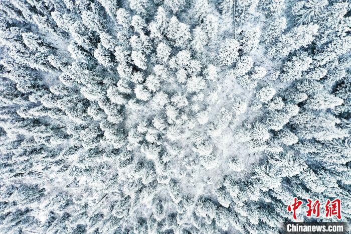 壤塘的雪后美景?！∪捞量h融媒體中心供圖