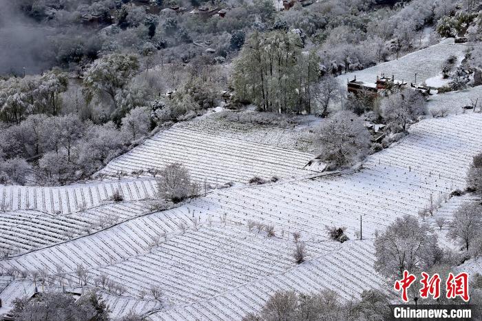 雪后的高山田間如畫?！±钣腊?攝