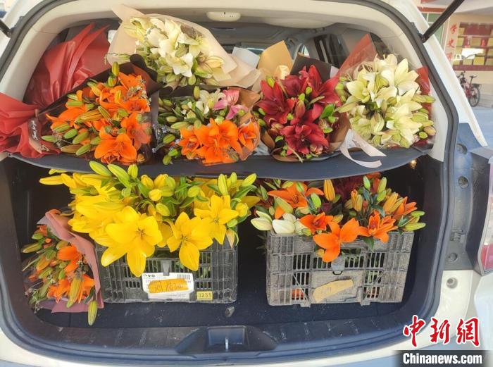 剛剛采摘下來的百合花?！∪捞量h委宣傳部供圖