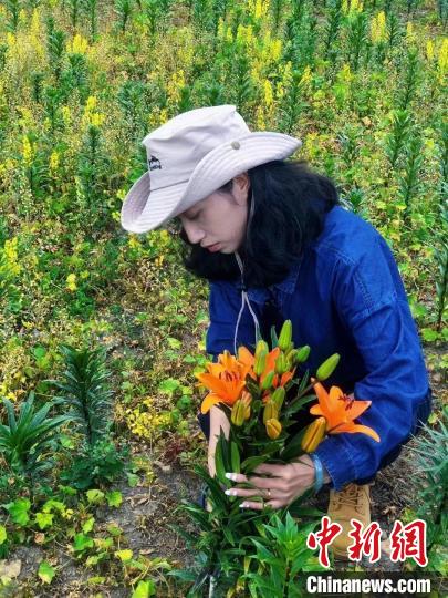 村民采摘百合花?！∪捞量h委宣傳部供圖