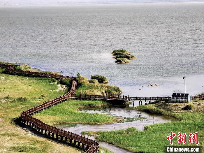 圖為都蘭湖國家濕地公園觀光棧道?！∑钤鲚?攝