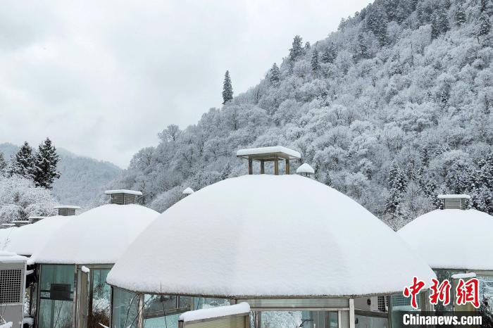 大熊貓國家公園王朗片區(qū)春雪如畫，宛若仙境。　羅春平 攝
