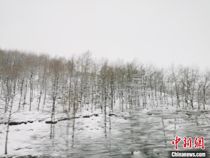 圖為青海青沙山區(qū)域被降雪覆蓋?！?zhí)砀?攝