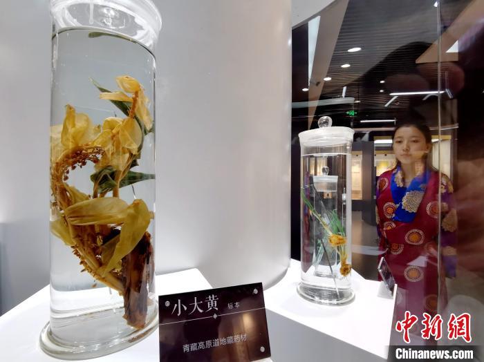 青海中藏醫(yī)藥發(fā)展提速：建設一批重點專科學科，推廣一批適宜技術