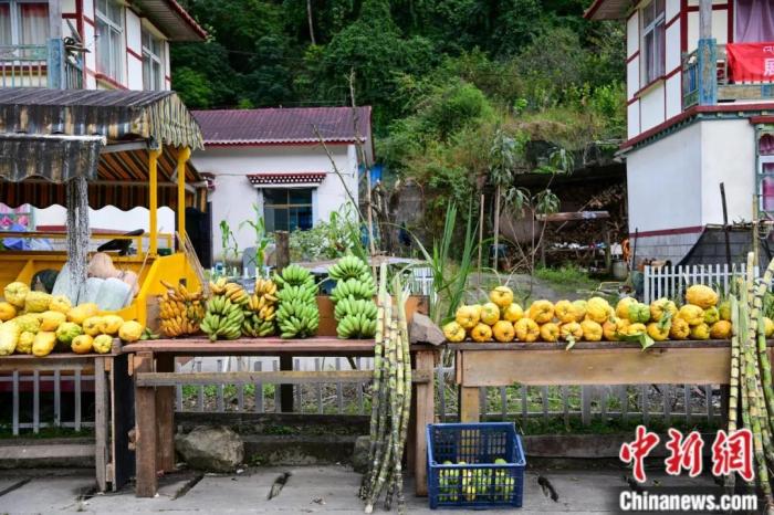 墨脫公路沿線，百姓擺攤銷售當?shù)匚锂a(chǎn)，包含香蕉、甘蔗、檸檬等。(<a target='_blank' href='/'><p  align=