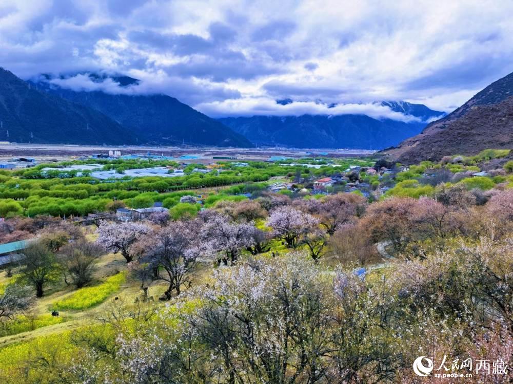 桃花從中的“童話小鎮(zhèn)”。人民網(wǎng) 李海霞攝