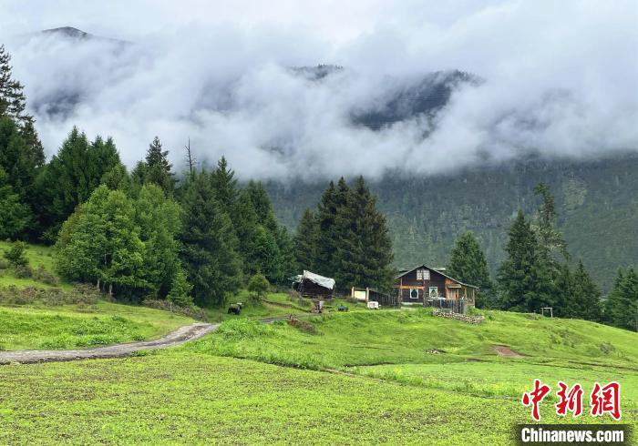 6月10日，魯朗小鎮(zhèn)高山牧場(chǎng)景區(qū)風(fēng)光?！∪轿木?攝
