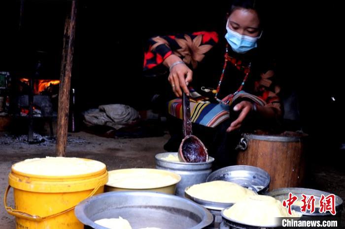 圖為牧民正在制作酥油?！∪湛t文聯(lián)供圖