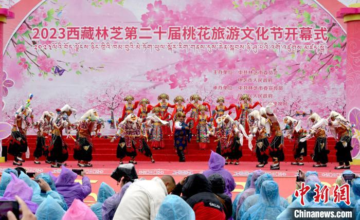 3月28日，西藏林芝第二十屆桃花旅游文化節(jié)開幕式上的文藝表演?！±盍?攝