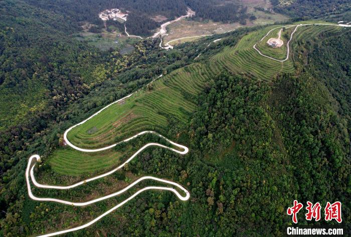 圖為西藏林芝市墨脫縣背崩鄉(xiāng)格林村山頂?shù)木坝^(guān)茶園。(無(wú)人機(jī)照片) 李林 攝
