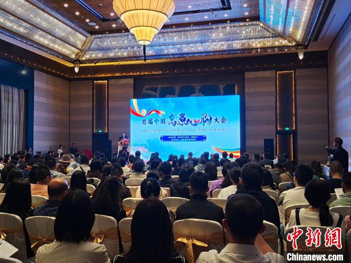 圖為首屆中國高原心胸大會現(xiàn)場。　頓旦旺姆 攝