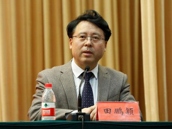 田鵬穎：投入其中、樂在其中、安身其中
