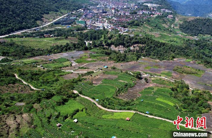圖為西藏林芝市墨脫縣城附近的茶田。(無(wú)人機(jī)照片) 李林 攝
