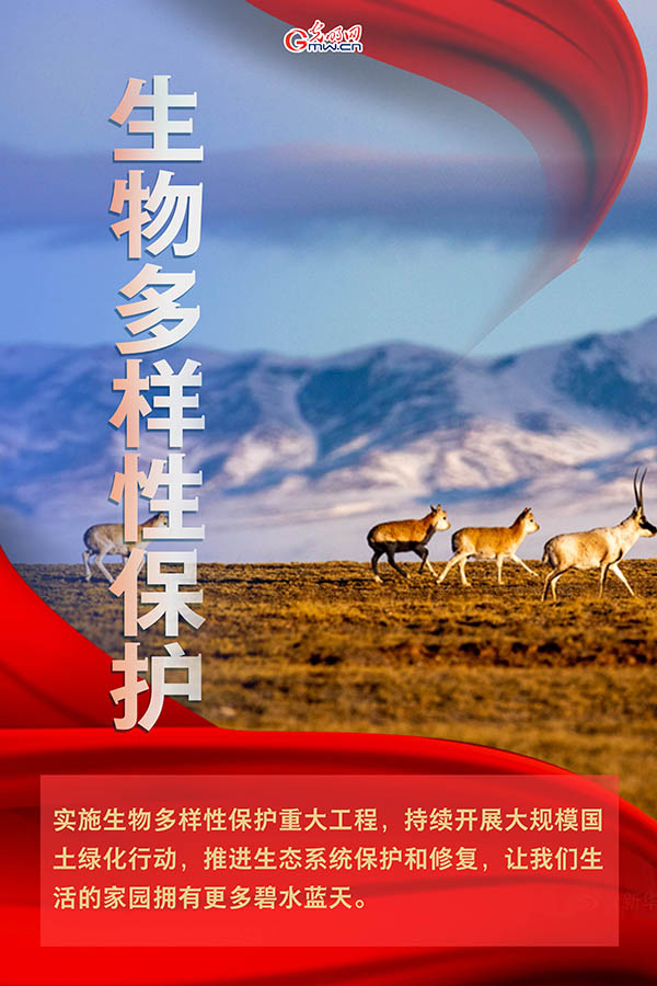 海報(bào)| 2021年政府工作報(bào)告，提到這些生態(tài)環(huán)保關(guān)鍵詞
